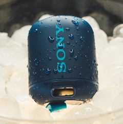 Sony sample radio