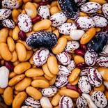 Dry foods